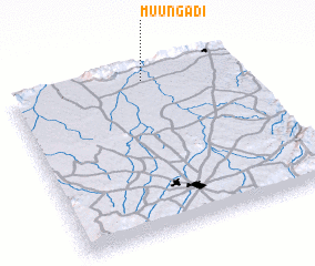 3d view of Muungadi