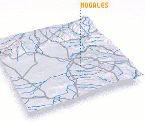 3d view of Mogales