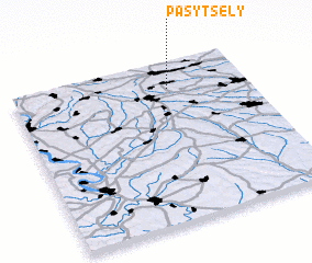 3d view of Pasytsely