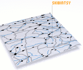 3d view of Skibintsy