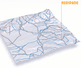 3d view of Moripane