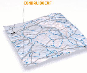 3d view of Combaliboeuf