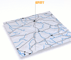 3d view of Apiry