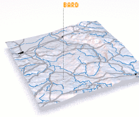 3d view of Bard