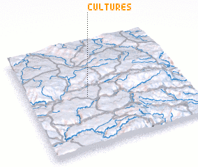 3d view of Cultures