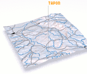 3d view of Tapon