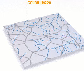 3d view of Sékomkparo