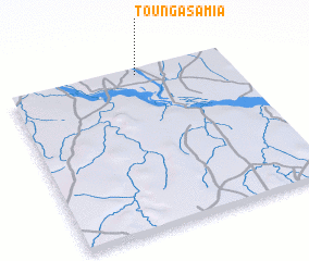 3d view of Tounga Samia