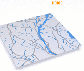 3d view of Kobio