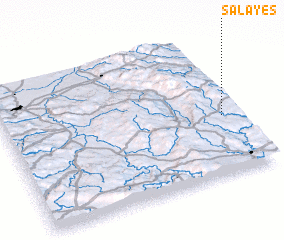 3d view of Salayes