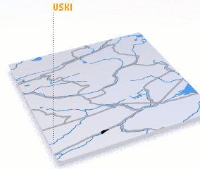 3d view of Uski