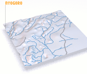 3d view of Nyogoro