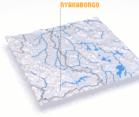 3d view of Nyakabongo