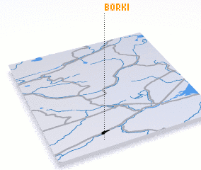 3d view of Borki