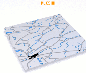 3d view of Pleshki