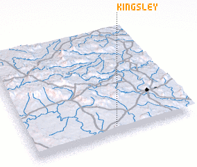 3d view of Kingsley
