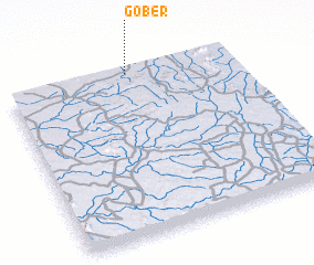 3d view of Gober