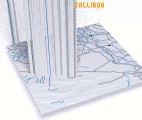 3d view of Tallibqā