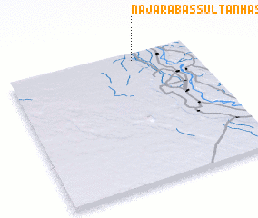 3d view of Naj‘ ‘Arab as Sulţān Ḩasan