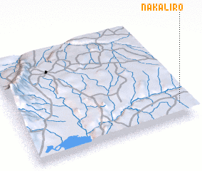 3d view of Nakaliro