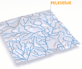 3d view of Pelesenje