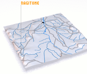 3d view of Nagitome