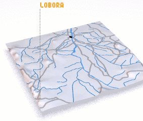 3d view of Lobora