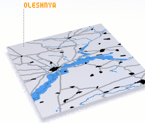 3d view of Oleshnya