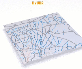 3d view of Nyukr