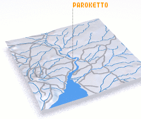 3d view of Paroketto