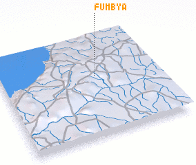 3d view of Fumbya