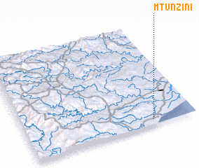 3d view of Mtunzini