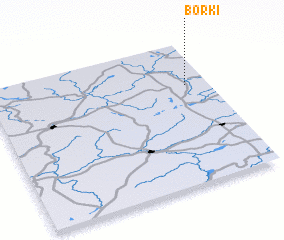 3d view of Borki