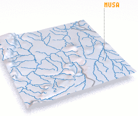 3d view of Musa