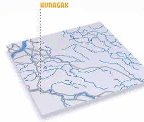 3d view of Wunagak