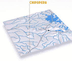 3d view of Chipopera