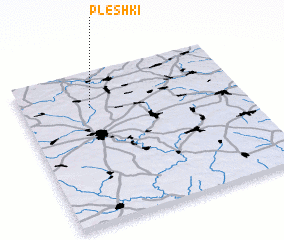 3d view of Pleshki