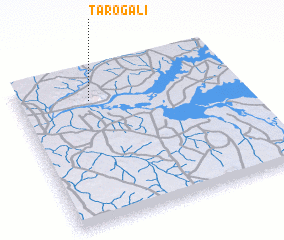 3d view of Tarogali