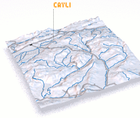 3d view of Çaylı