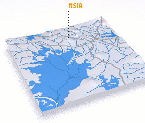 3d view of Msia