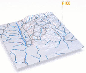 3d view of Fico