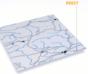 3d view of Prost\