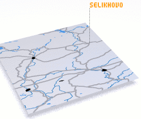 3d view of Selikhovo