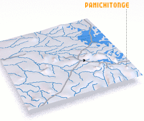 3d view of Pamichitonge