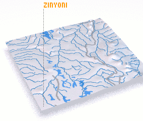 3d view of Zinyoni