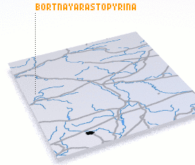 3d view of Bortnaya Rastopyrina