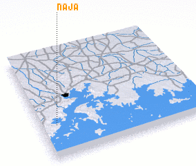 3d view of Naja