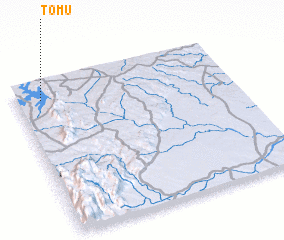 3d view of Tomu