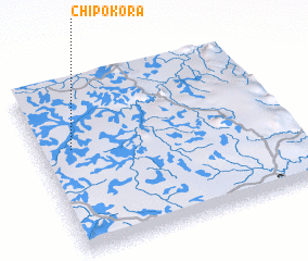 3d view of Chipokora