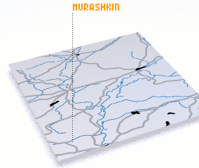 3d view of Murashkin